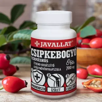 https://nyugalombiobolt.test.w2d.hu/media_ws/10011/2074/idx/javallat-csipkebogyo-termeshus-kapszula-50db.webp