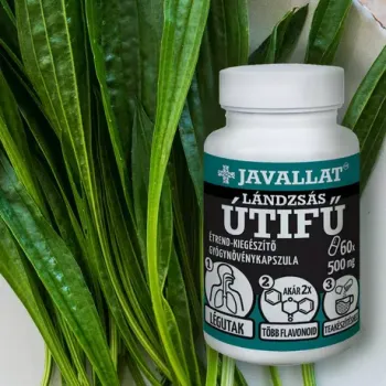 https://nyugalombiobolt.test.w2d.hu/media_ws/10011/2096/idx/javallat-landzsas-utifu-level-kapszula-50db.webp
