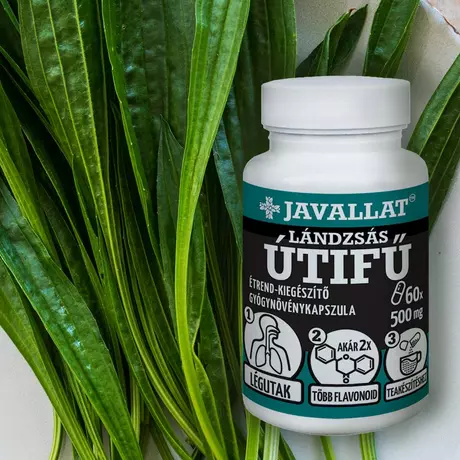Javallat Lándzsás útifű kapszula 60db