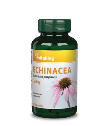 https://nyugalombiobolt.test.w2d.hu/media_ws/10015/2024/idx/vitaking-echinacea-400-mg-100-db.jpg